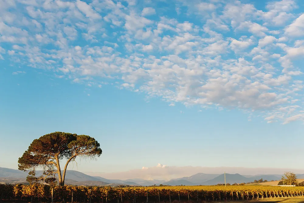 Photo by Jonathan Ong Photography. theweddingnotebook.com