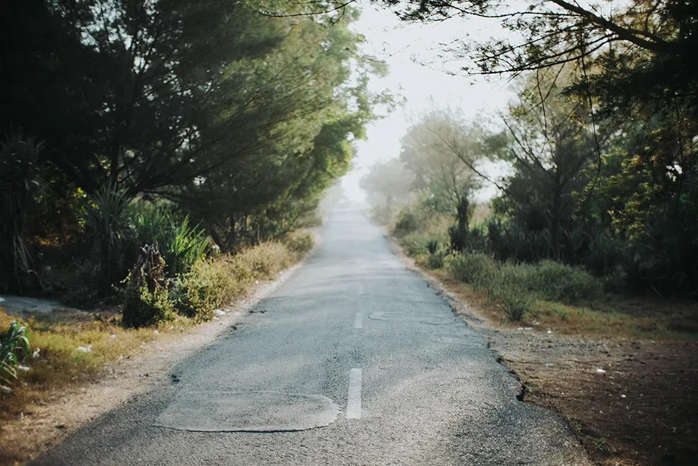 Photo by Logika Bumi of Terralogical. theweddingnotebook.com