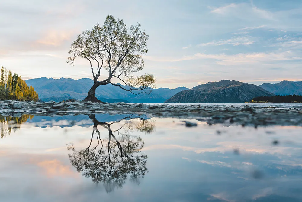 Photo by Peter Herman Photography. theweddingnotebook.com