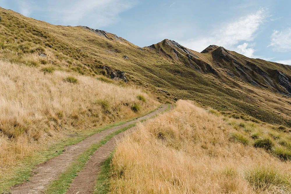 Photo by Peter Herman Photography. theweddingnotebook.com