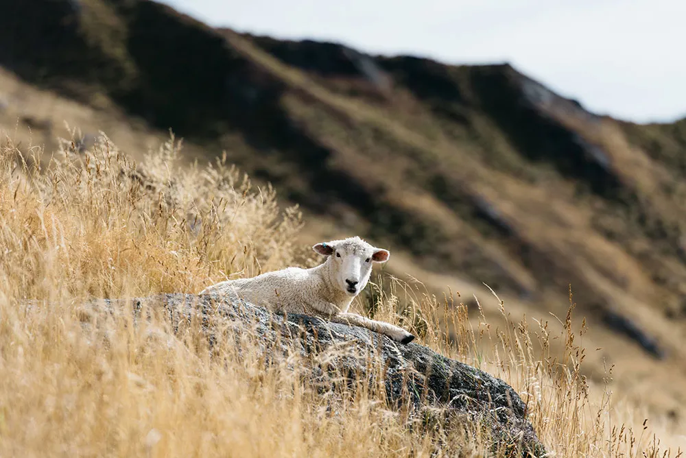 Photo by Peter Herman Photography. theweddingnotebook.com