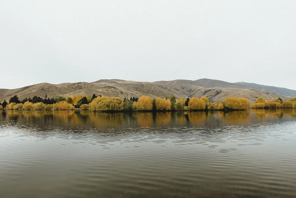 Photo by Peter Herman Photography. theweddingnotebook.com