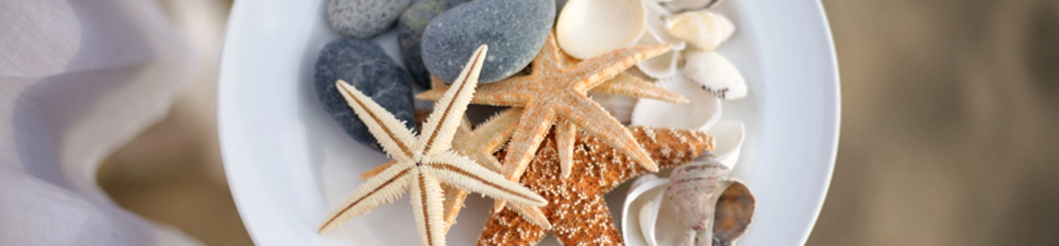 Sun, Sea, Sand And Starfishes