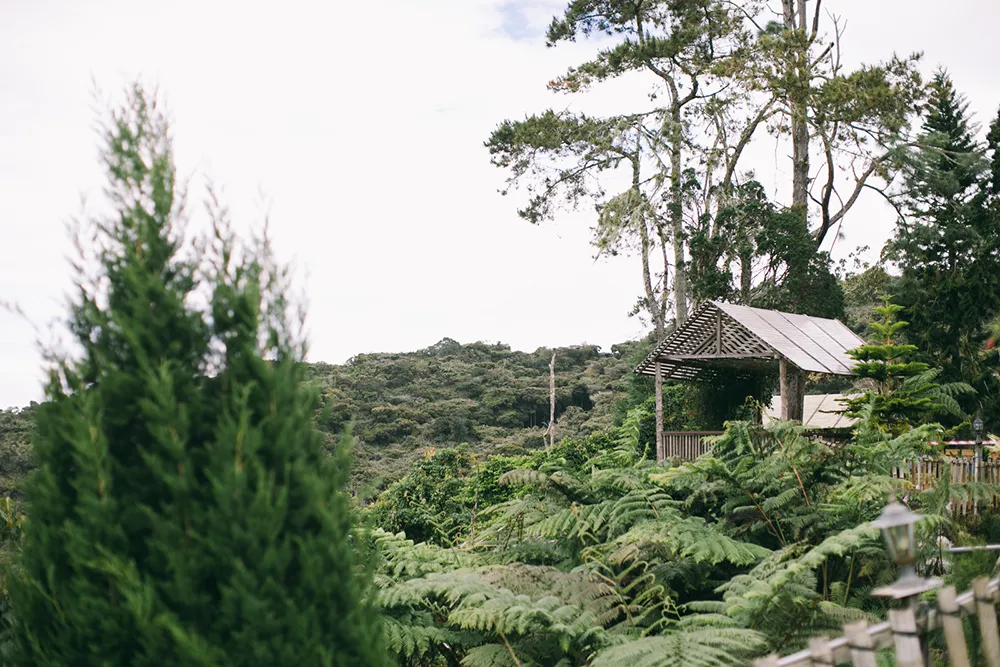 Photo by Nigel Lim Photography. theweddingnotebook.com