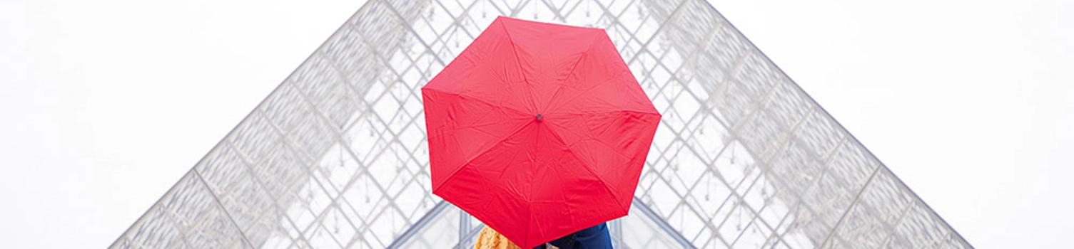 A Surprise Romantic Proposal in Paris