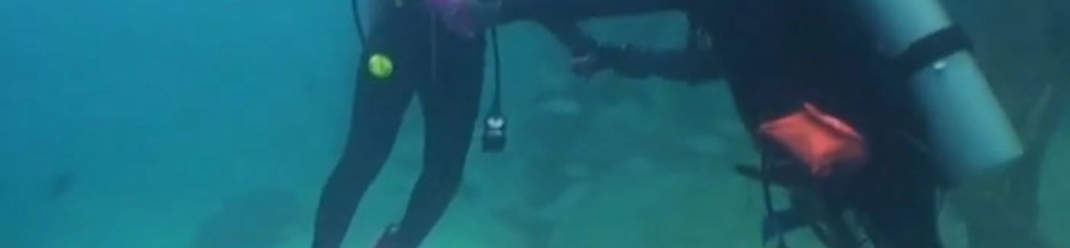 Surprise Underwater Wedding Proposal At Mataking