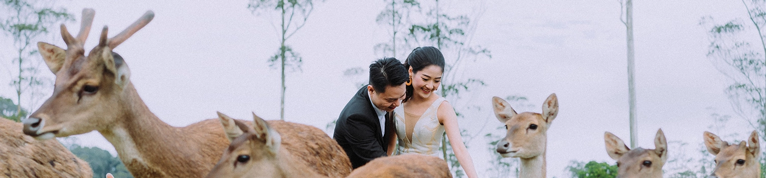 Sweet and Dreamy Bridal Portraits in Bandung, Indonesia