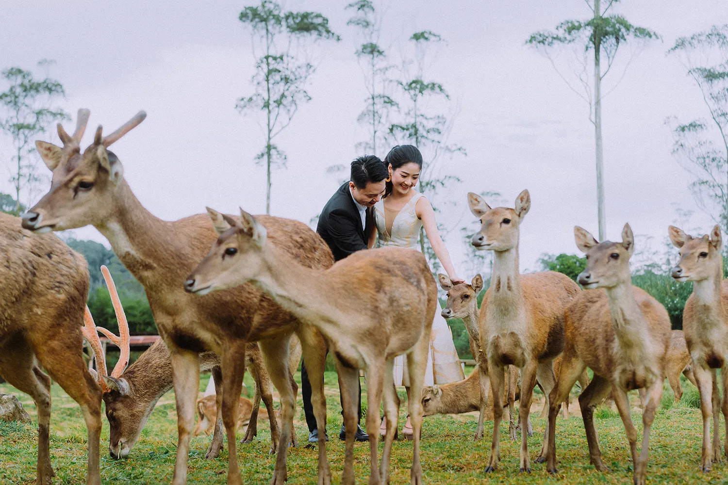 Photography by Zahkri of Sheerss. theweddingnotebook.com