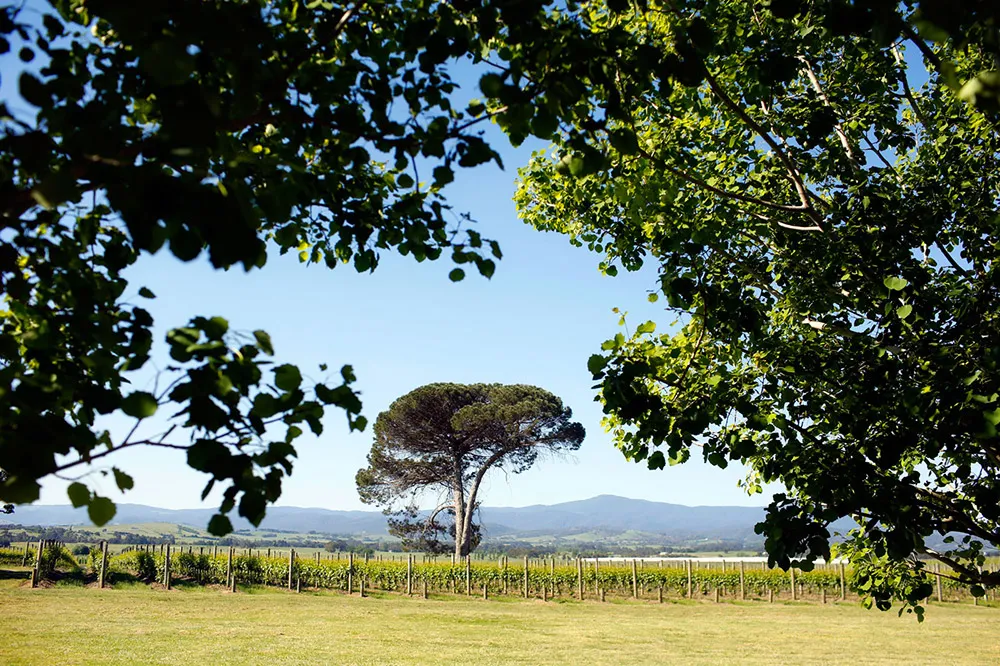 Photo by Warren Photography. theweddingnotebook.com