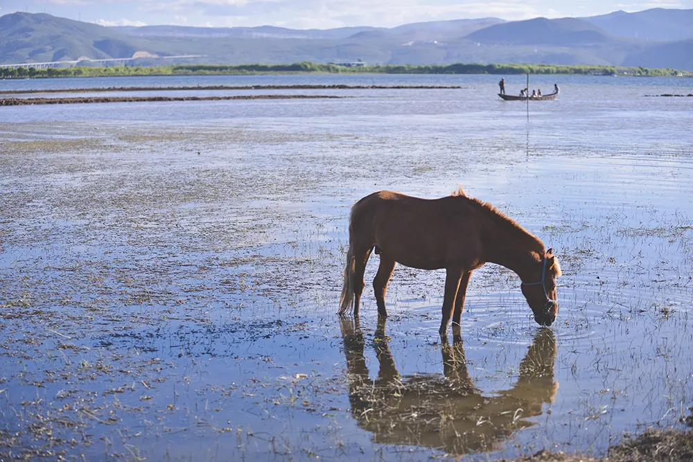 Andrew Yep Photographie. theweddingnotebook.com