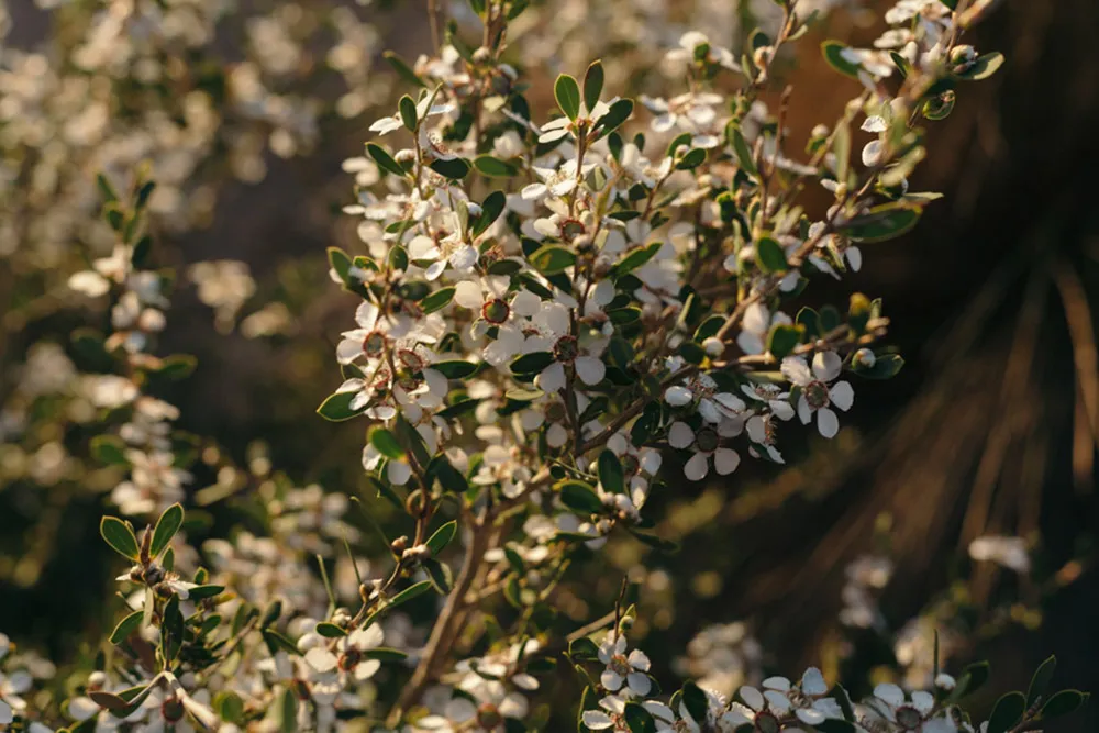 Photo by Shaun Lee. theweddingnotebook.com
