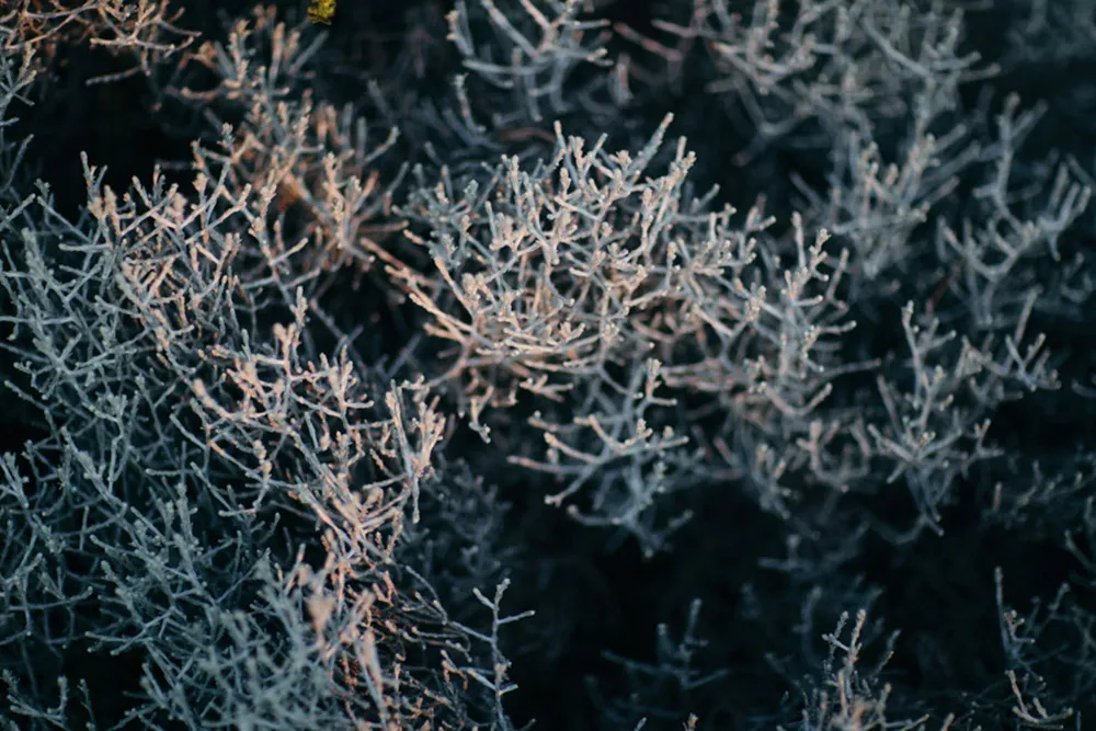 Photo by Shaun Lee. theweddingnotebook.com