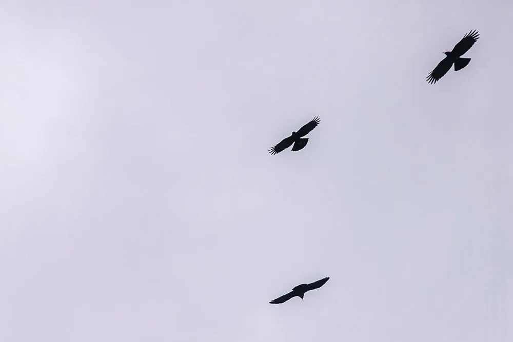 Photo by Metrophoto. theweddingnotebook.com