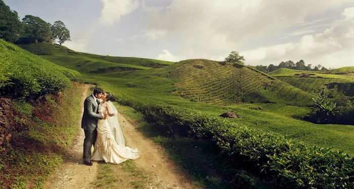 Bridal portraits at tea plantation Cameron Highlands. Victor Hew Photography. theweddingnotebook.com