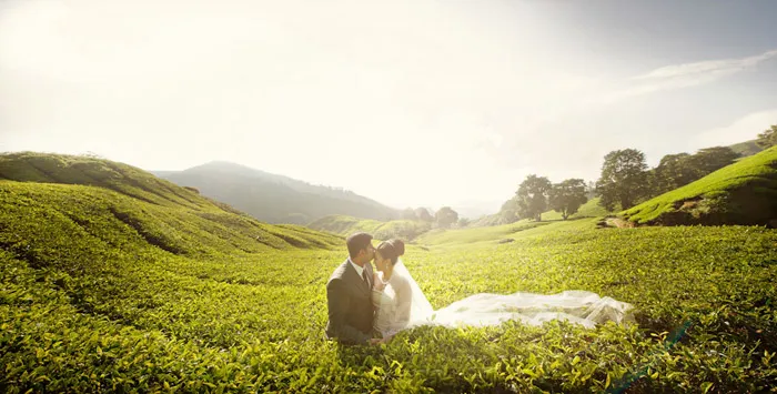 Victor Hew Photography. theweddingnotebook.com