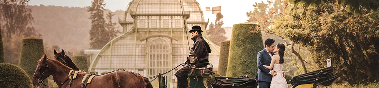 Vienna: City Of Dreams