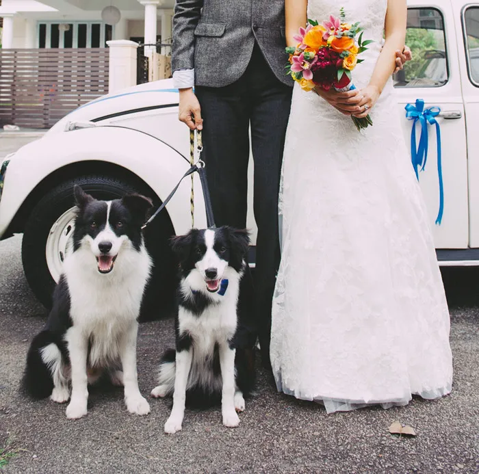 Photo by AndroidsinBoots. theweddingnotebook.com