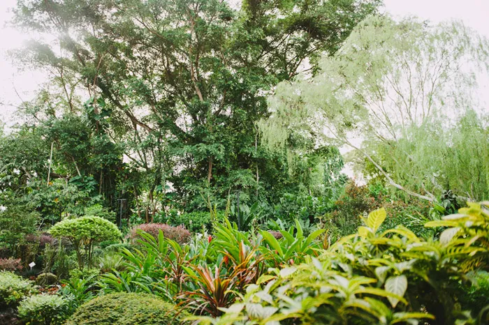 Photo by AndroidsinBoots. theweddingnotebook.com