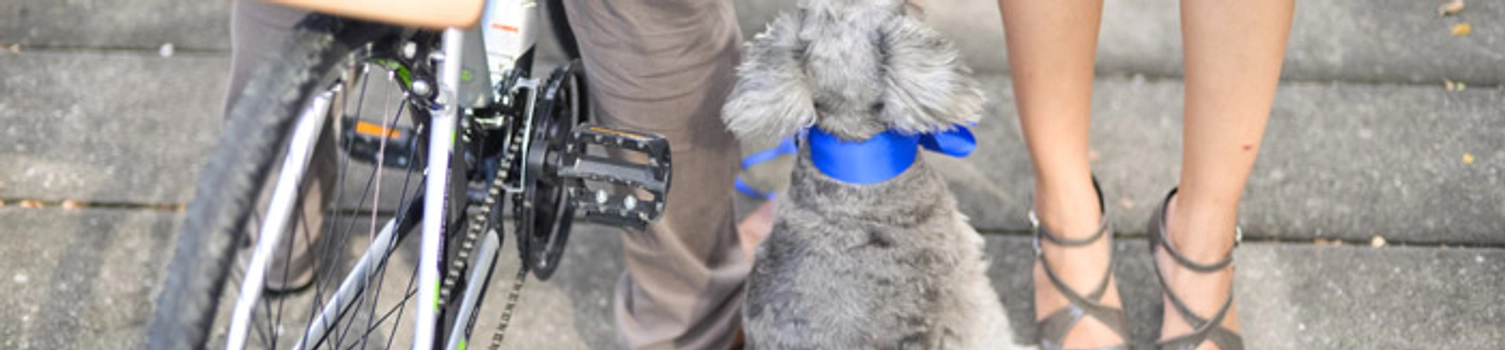 Wedding In A Secret Garden