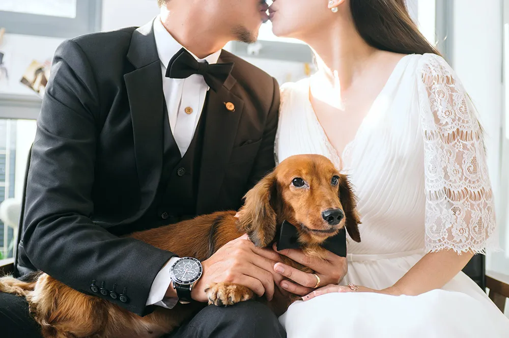 The Peeping Thom Photography. theweddingnotebook.com