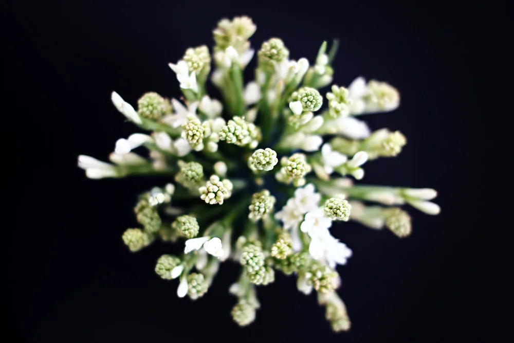 Photo by Axioo. theweddingnotebook.com