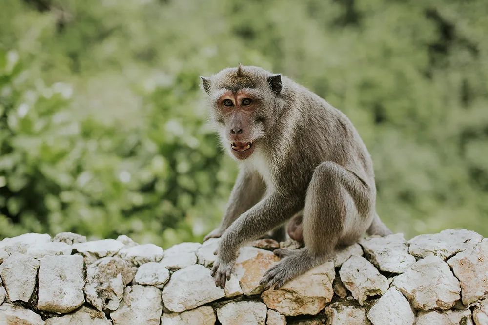 Photo by Punyan Photography. theweddingnotebook.com
