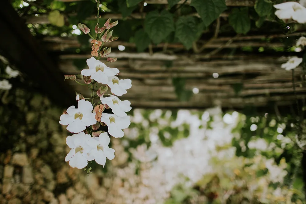 Photo by Punyan Photography. theweddingnotebook.com
