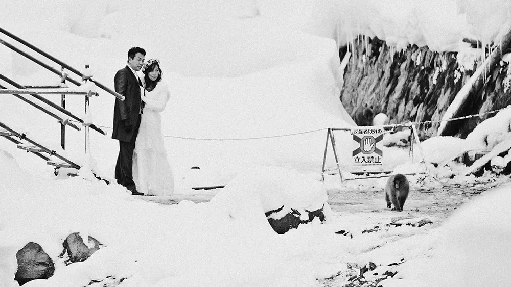 Photography by The Royal Workshop Japan. theweddingnotebook.com